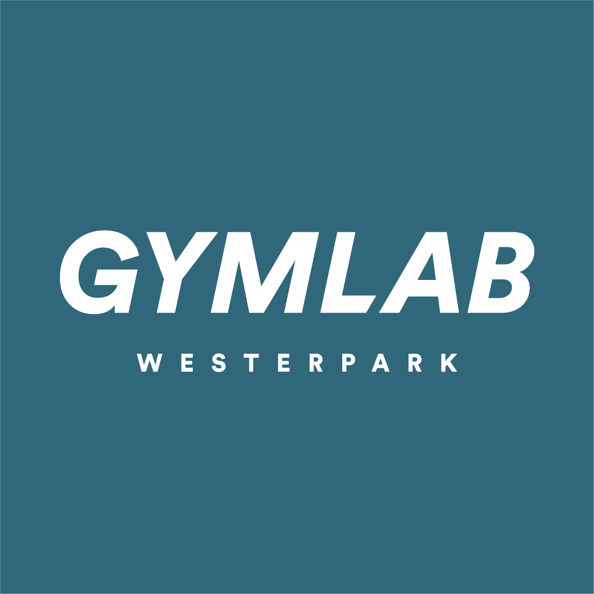 Gymlab-Visual-Identity-Logo-MINE@2x